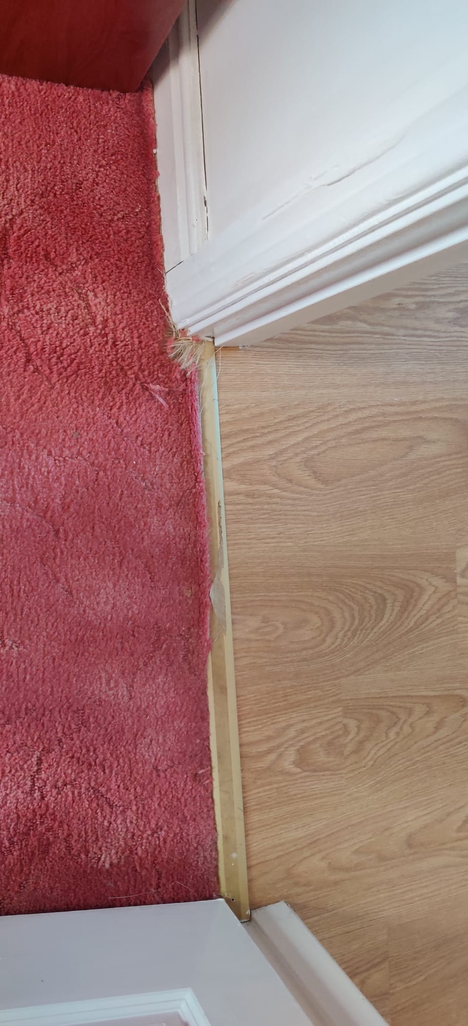 Frayed carpet in MB doorway